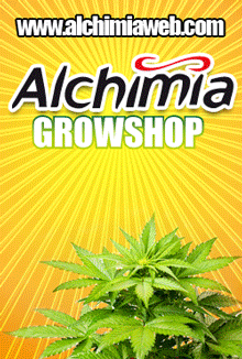 Growshop Alchimia