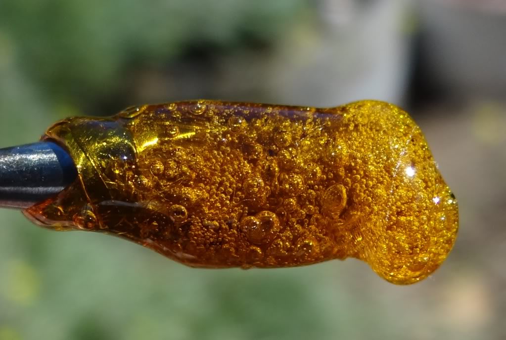 BHO