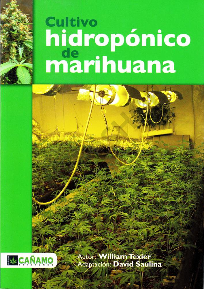 Portada Cultivo hidroponico de marihuana
