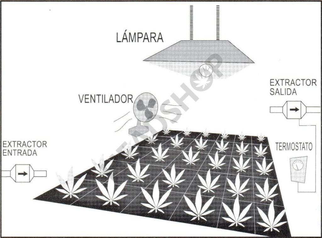 Cultivo de interior