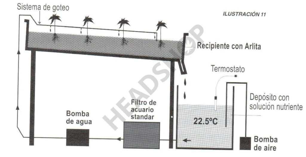 Cultivo hidroponico