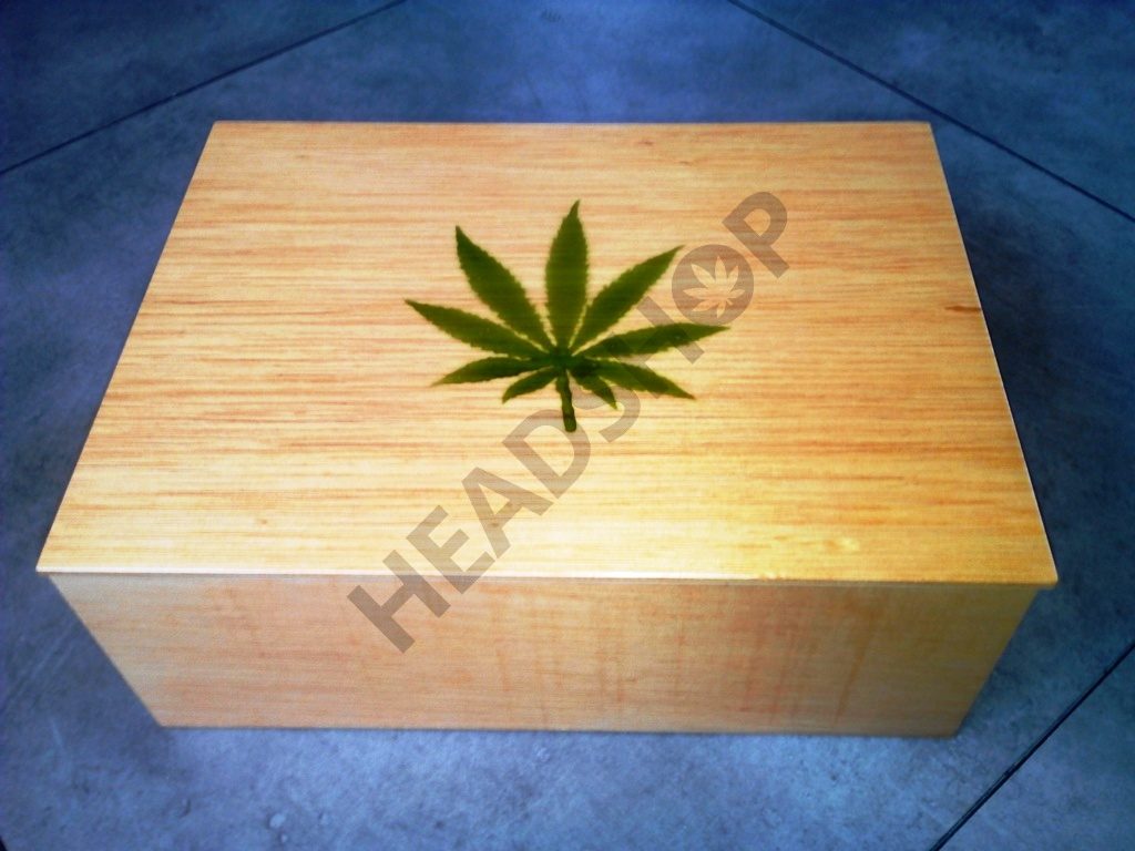 Caja Polinizadora jaizkibel